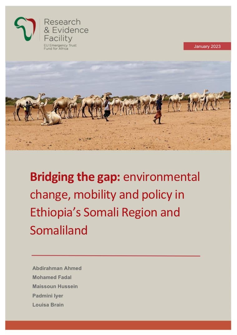 Cover of Bridging the Gap