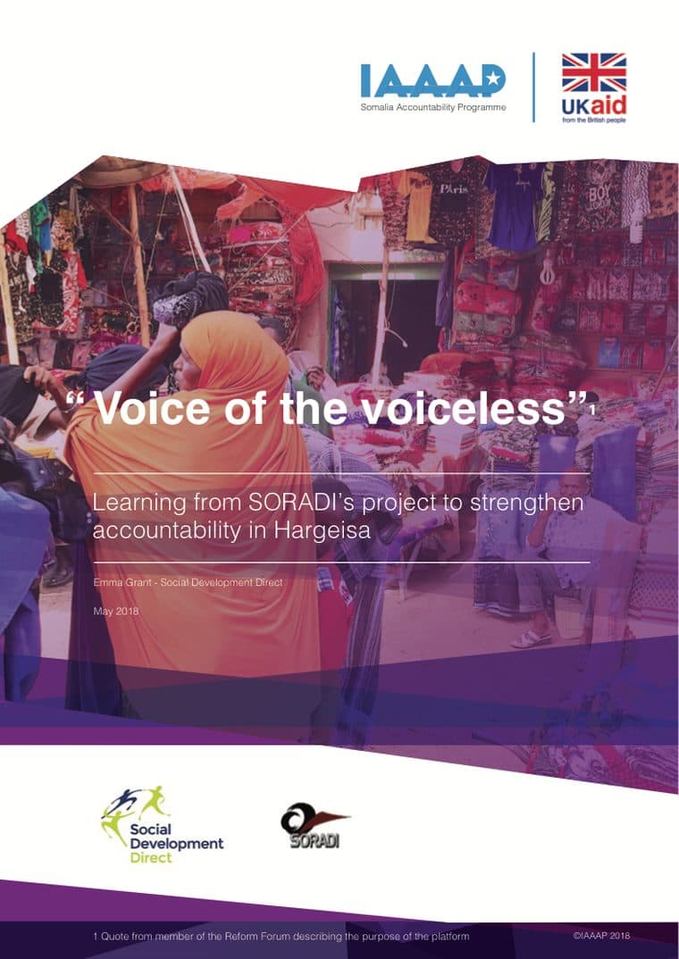 Cover of Voice of the Voiceless