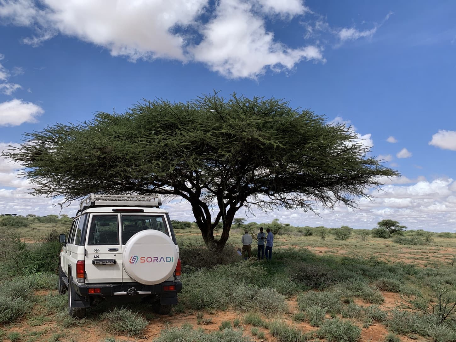 SORADI field research team and Land Cruiser beneath an acacia tree in the Somaliland drylands